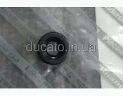Сальник втулки привода спидометра Citroen Jumper (1994-2002), 265104, 9750254580